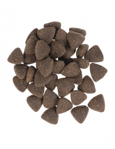 SACO KNINE EXTRA HEALTH- 12 kgs. GRANOS