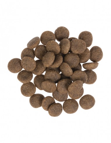 SACO KNINE SENSITIVE & GASTRO - 14 kgs. PARTE  GRANOS