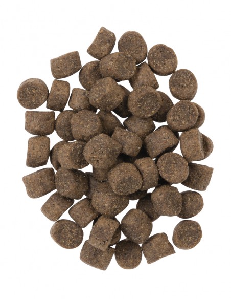 KNINE 365 DAYS - 14 kgs.