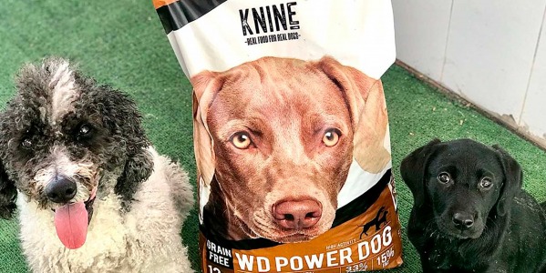 Pienso para cachorros KNINE ¿cuál elegir?